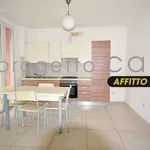 Rent 2 bedroom apartment of 55 m² in San Cesario sul Panaro