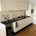 Rent 1 bedroom apartment of 40 m² in Amsterdam