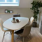 Rent 1 bedroom apartment in brussels