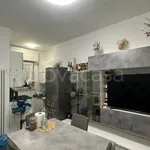 Rent 3 bedroom apartment of 76 m² in Settimo Torinese