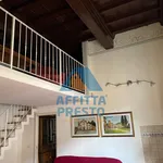 Affitto 3 camera appartamento di 70 m² in Pisa