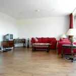 Rent 2 bedroom apartment of 103 m² in Delft