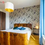 Rent 3 bedroom apartment in Praha