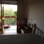 Rent 2 bedroom apartment of 65 m² in Torino