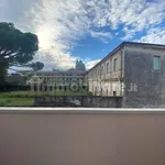 Rent 2 bedroom apartment of 50 m² in San Giovanni Lupatoto