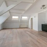 Huur 4 slaapkamer appartement van 149 m² in Den Haag