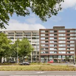 Rent 2 bedroom apartment of 54 m² in Amsterdam