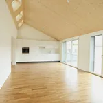 Rent 3 bedroom apartment of 73 m² in Basel