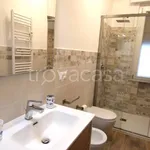 Rent 2 bedroom apartment of 50 m² in Borghetto Santo Spirito