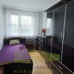 Rent 2 bedroom apartment of 30 m² in Gorzów Wielkopolski