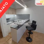 Rent 1 bedroom apartment of 24 m² in Brno