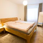 Rent 1 bedroom apartment of 62 m² in Prague