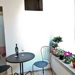 Rent 1 bedroom apartment of 50 m² in Florence