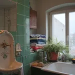 Rent 1 bedroom apartment in berlin