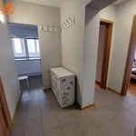 Rent 2 bedroom apartment of 43 m² in Łódź