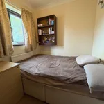 Rent 1 bedroom house in Norwich