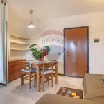 Rent 1 bedroom apartment of 46 m² in Roma