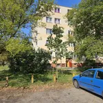 Rent 3 bedroom apartment of 43 m² in Warszawa