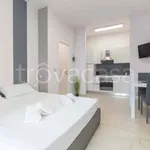 Rent 1 bedroom apartment of 45 m² in Torino