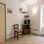 Rent 2 bedroom apartment of 70 m² in florence