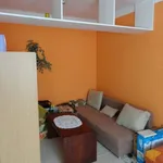 Rent 1 bedroom apartment of 29 m² in Hodonín