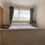 Rent 1 bedroom house in South East England