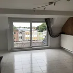 Appartement de 56 m² avec 1 chambre(s) en location à RONSE