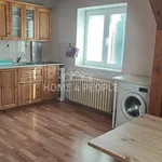 Rent 1 bedroom apartment of 50 m² in Plzeň