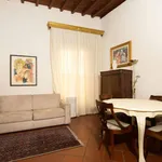 Rent 1 bedroom apartment of 50 m² in Florence