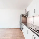 Rent 2 bedroom apartment of 48 m² in Jindřichův Hradec