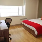 Rent 1 bedroom apartment in Brighton