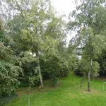 Rent 3 bedroom apartment of 60 m² in Gladbeck