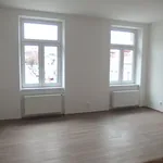 Rent 18 bedroom apartment in Liberec