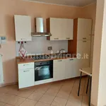 Rent 1 bedroom apartment of 38 m² in Turin