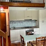 Rent 2 bedroom apartment of 56 m² in Zagarolo