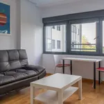 Rent 1 bedroom apartment of 60 m² in madrid