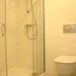 Rent 2 bedroom apartment of 41 m² in Prague