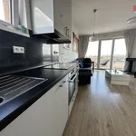 Rent 2 bedroom apartment of 65 m² in Praha