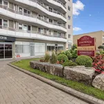  appartement avec 1 chambre(s) en location à Ottawa