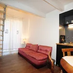 Rent 1 bedroom apartment of 50 m² in Turin