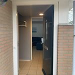 Rent a room of 102 m² in Den Haag