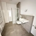 Rent 1 bedroom apartment in Prague