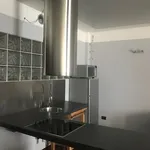 Rent 1 bedroom apartment of 51 m² in Cremona