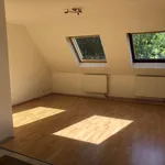 Appartement de 55 m² avec 3 chambre(s) en location à Soultz