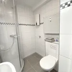 Rent 1 bedroom apartment of 30 m² in Nuremberg