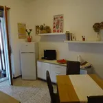 Rent 2 bedroom apartment of 65 m² in turin