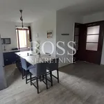 Rent 3 bedroom apartment of 90 m² in Grad Rijeka