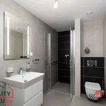 Pronájem, byty/1+kk, 35 m2, Kartónová 2844/10, Východní Předměstí, 32600 Plzeň, Plzeň-město [ID 6314