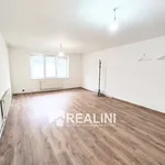 Rent 1 bedroom apartment in Ostrava