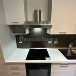 Rent 3 bedroom apartment of 96 m² in Turin